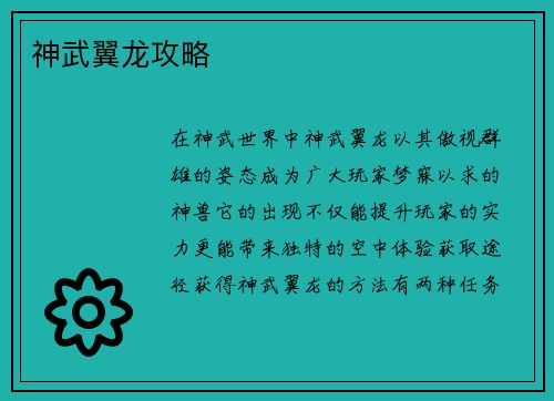 神武翼龙攻略